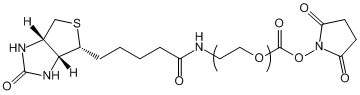 Biotin-PEG-NHS.gif